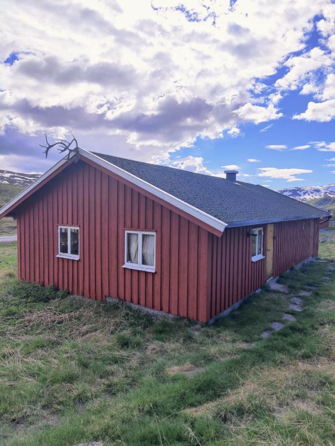 Kyrkjestolen B&B Tyinkrysset Екстериор снимка