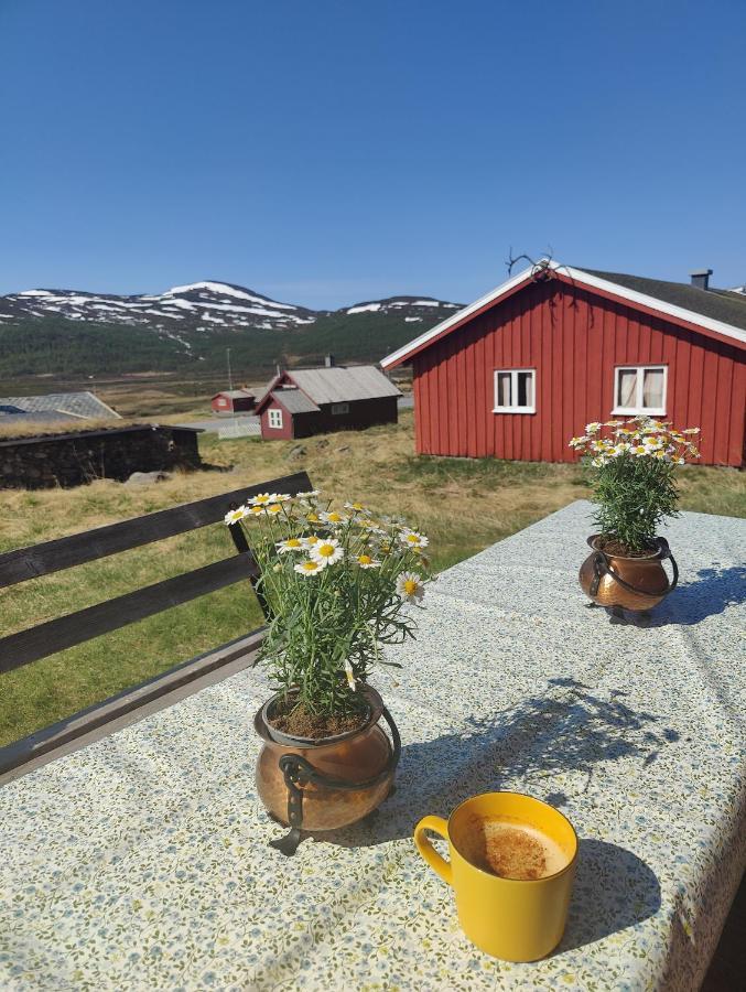 Kyrkjestolen B&B Tyinkrysset Екстериор снимка